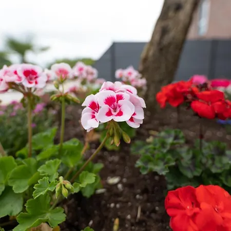 酒店 & Restaurant Sparta